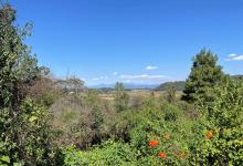 Terreno en Fraccionamiento Valle Santana